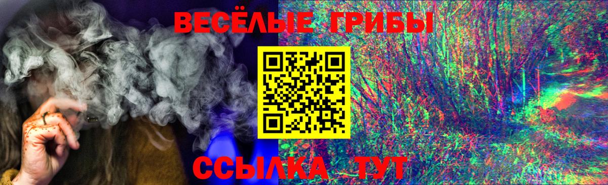 Саранск  Галлюциногенные грибы Magic Shrooms  Вход с VPN 